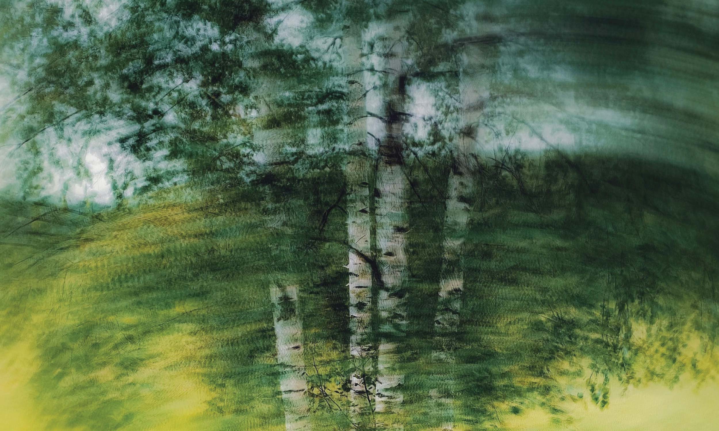 Motion-blurred forest landscape symbolising everyday energy use and the flow of energy through daily life.