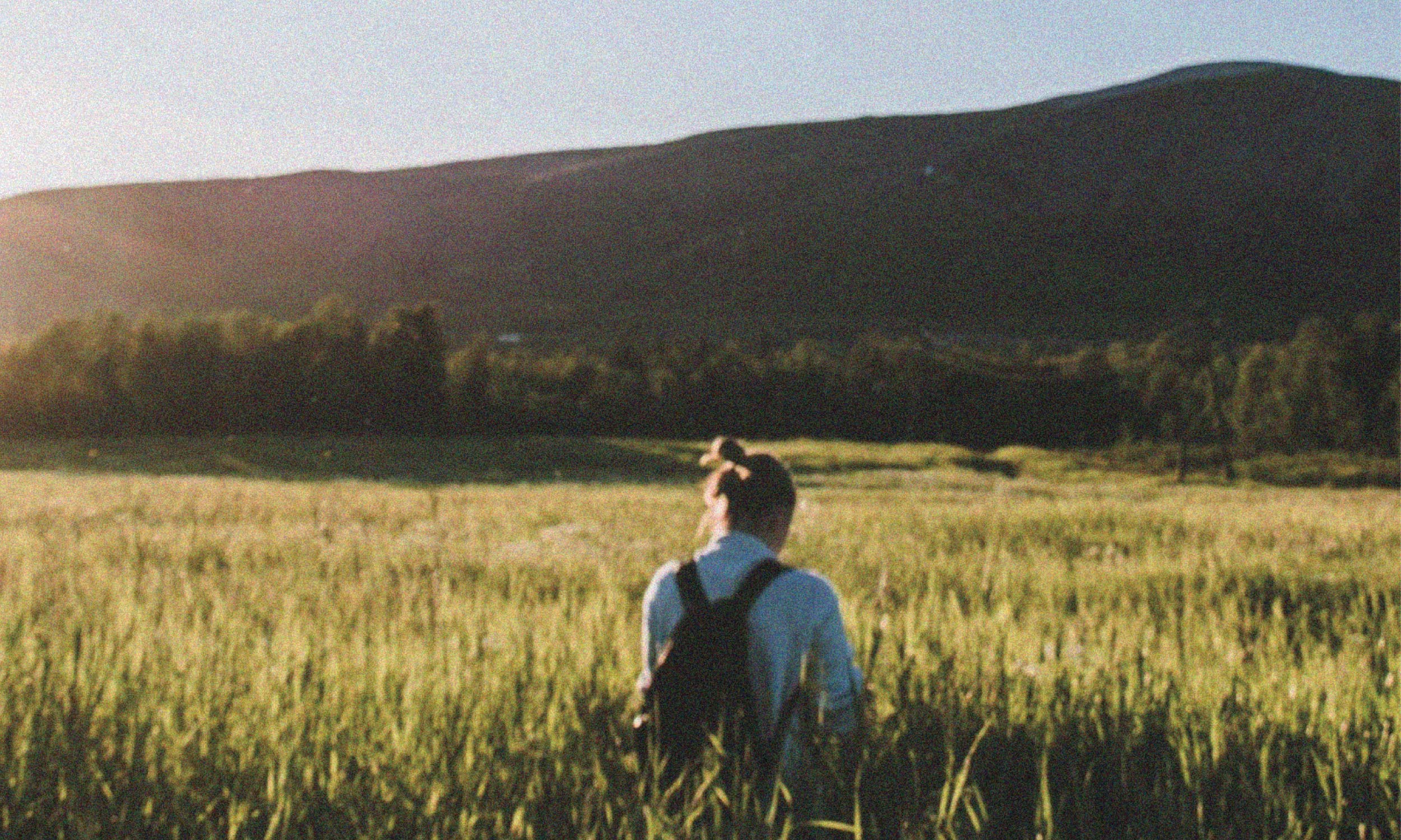 Person walking quietly through a sunlit field, symbolising how small habits create stillness