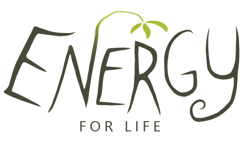Energy for Life logo with stylised lettering and a small green palm tree accent