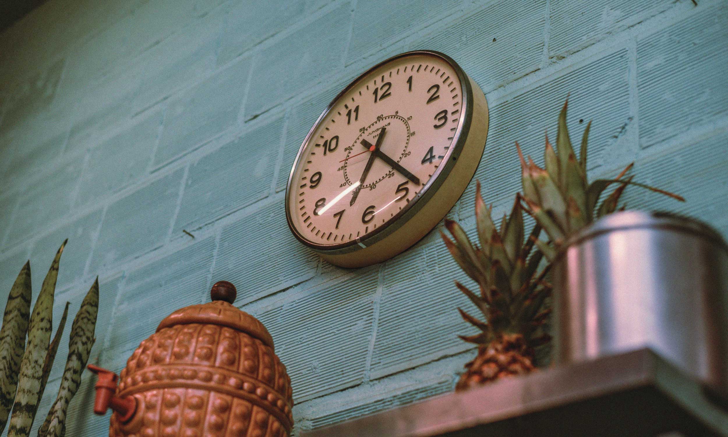 Wall clock displayed above houseplants, representing the body’s natural circadian rhythm.