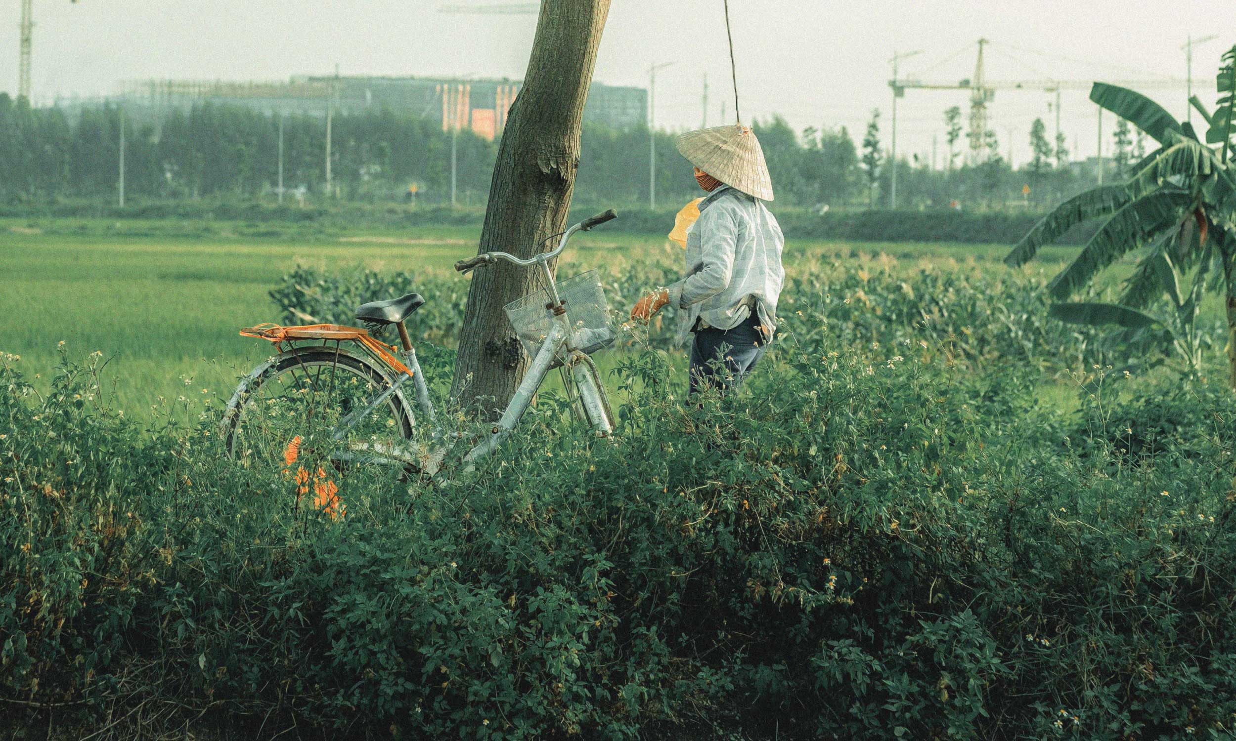 Person standing beside a bicycle in a rural field, symbolising core values, purposeful living and connection to community