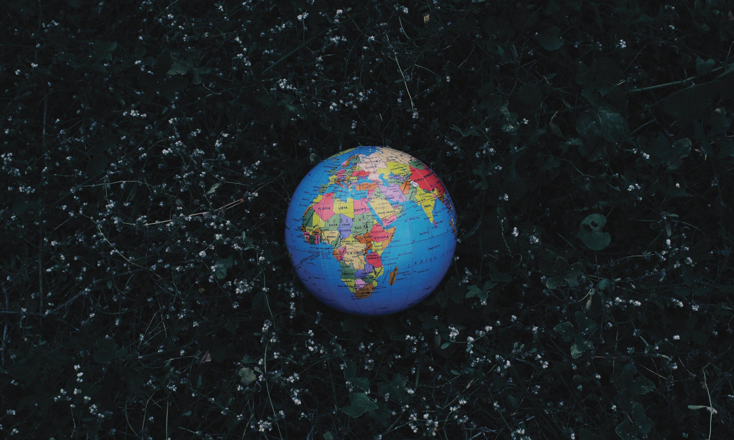 Globe resting on grass and wildflowers, symbolising eco-friendly energy choices and care for the planet