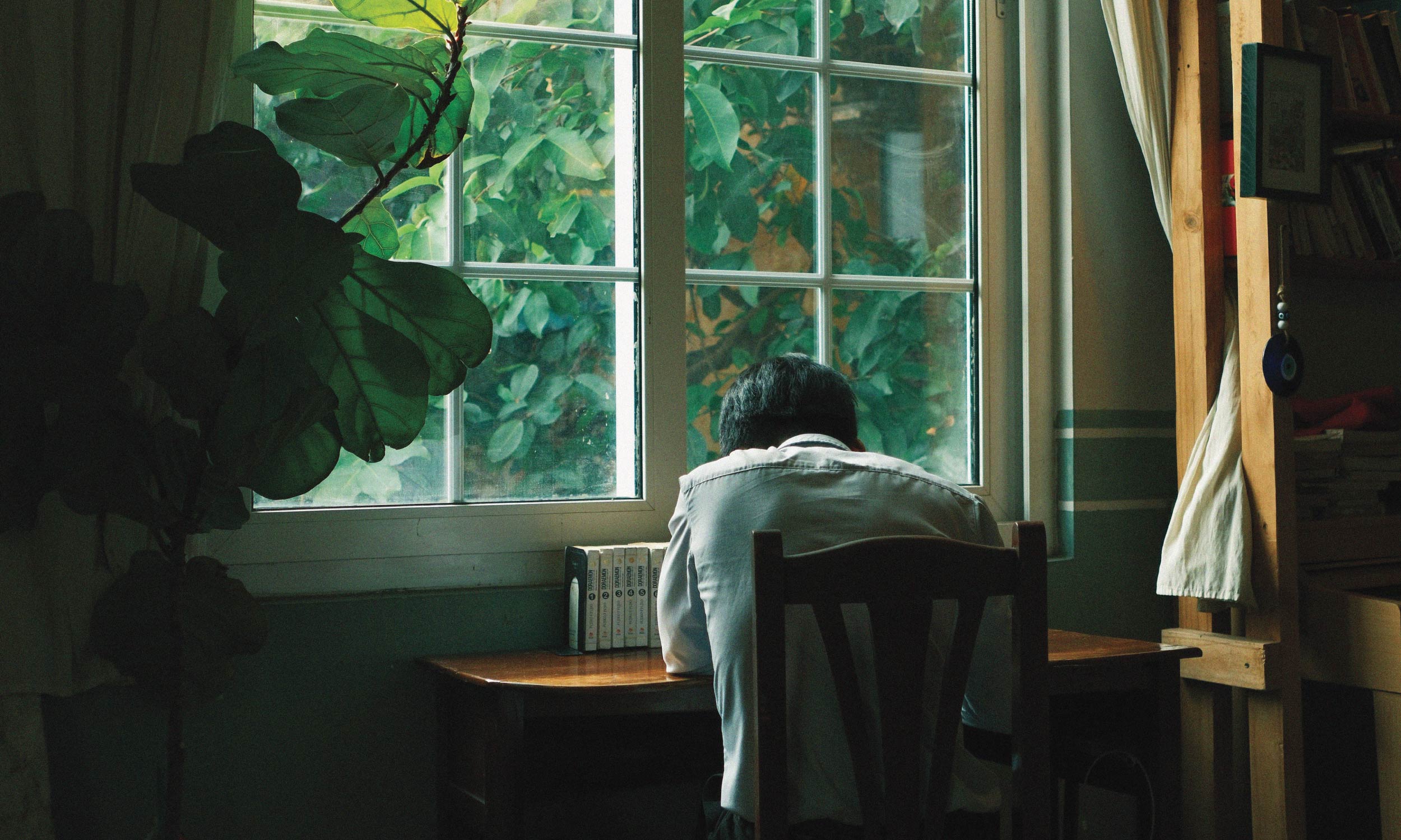 Person working at a desk with natural light and indoor plants, creating an energy-friendly workspace